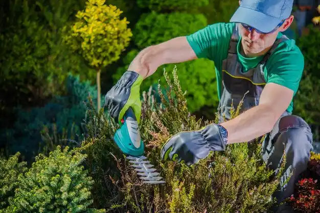 landscaping services Webb